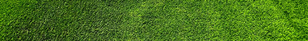 artificial grass installed in a yuma, az backyard