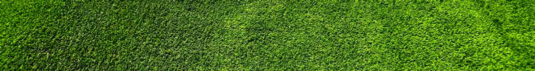 artificial grass installed in a yuma, az backyard