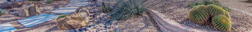 Beautiful desert landscape design